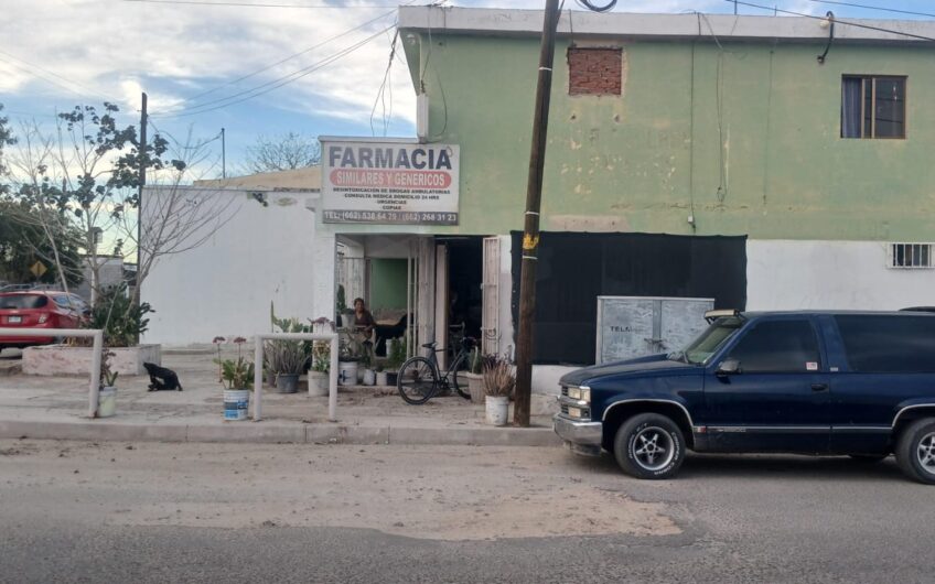 987-Palo Verde