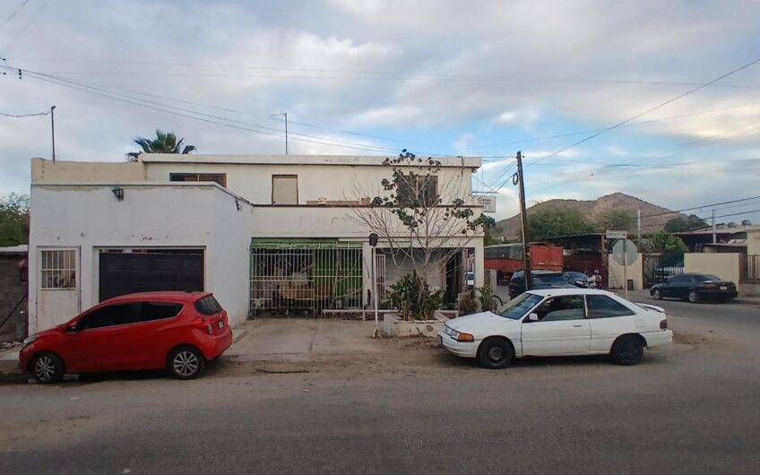 987-Palo Verde