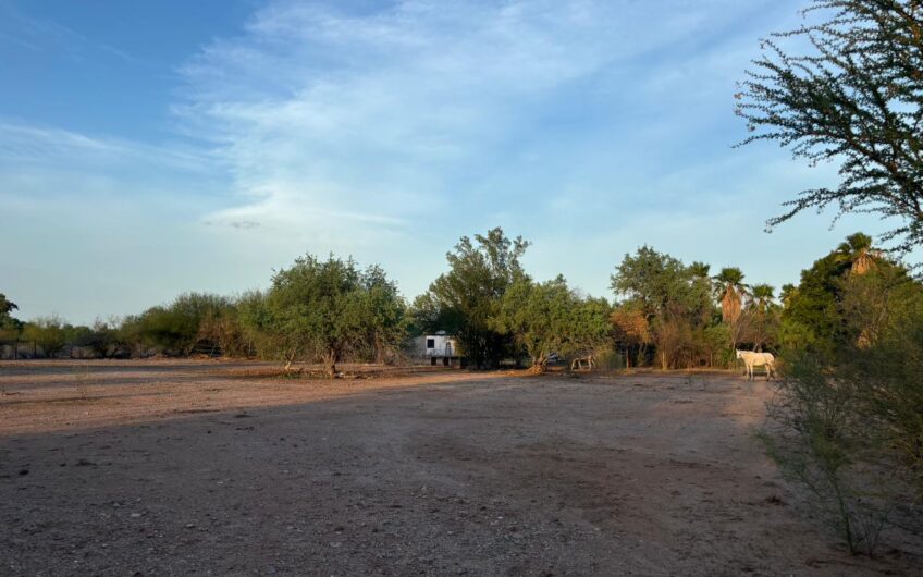 853-Terreno Real del Alamito