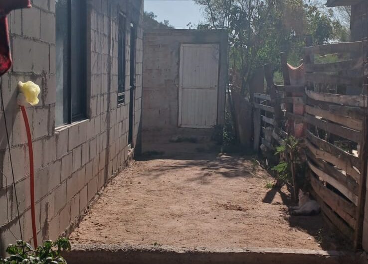 811-Plutarco Elías Calles