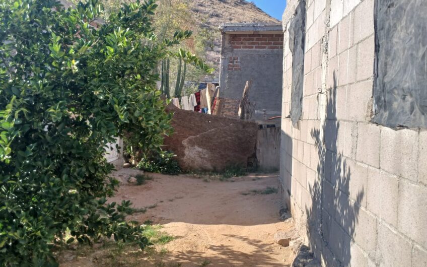 811-Plutarco Elías Calles