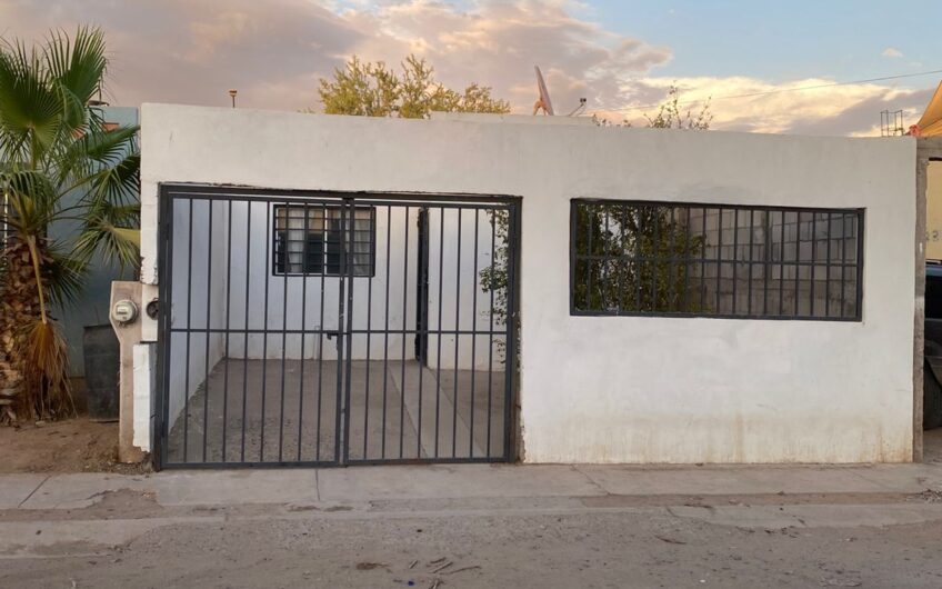 1035 Fuente de Piedra