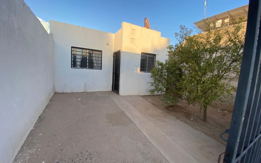 1035 Fuente de Piedra