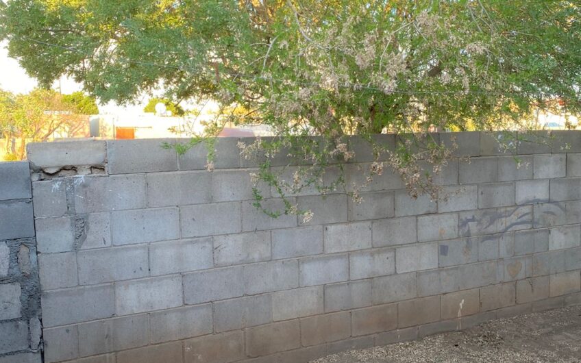 1035 Fuente de Piedra