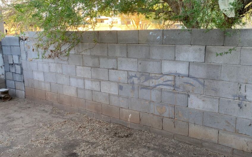 1035 Fuente de Piedra