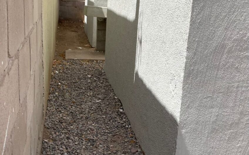 1077-Fuente de Piedra