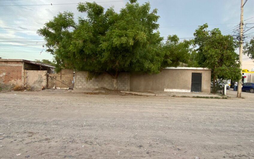 1076-Primero Hermosillo