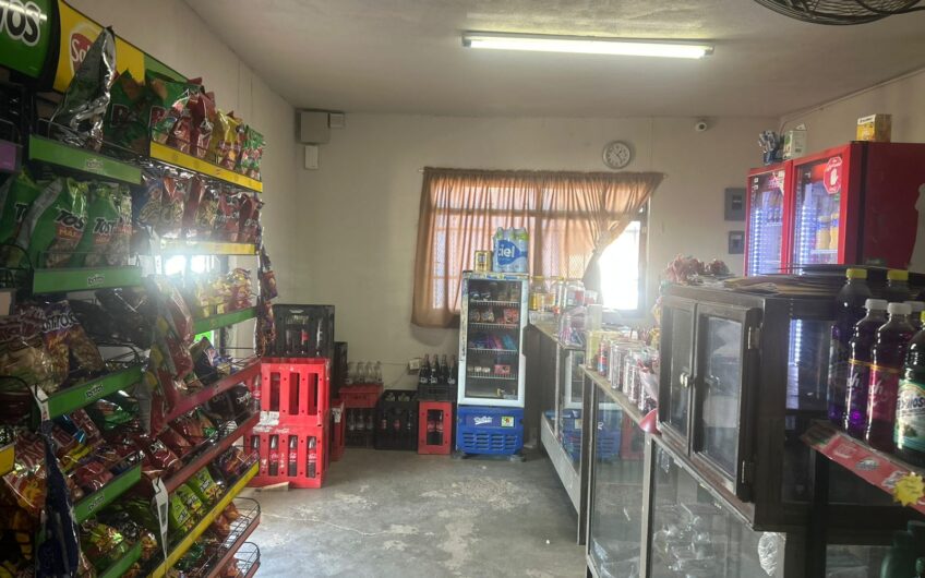 1088- Ampliación Ladrilleras