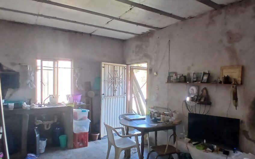 1095 Adolfo Lopez Mateos