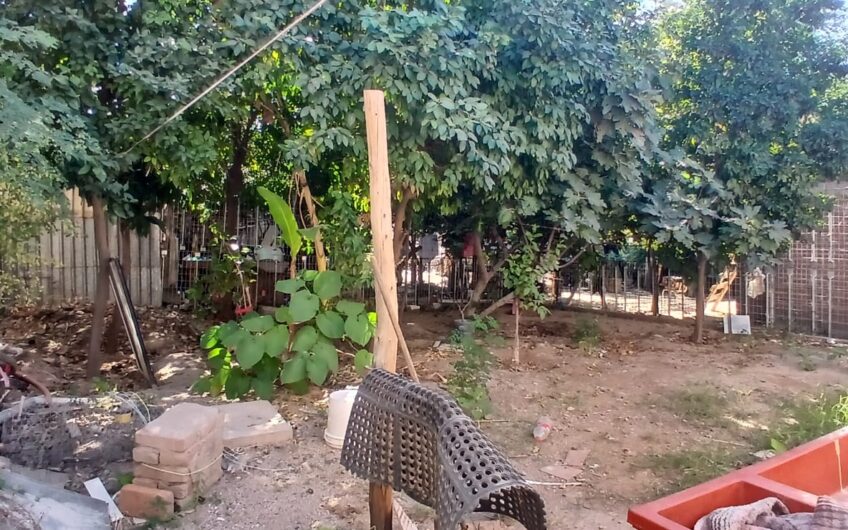 1095 Adolfo Lopez Mateos