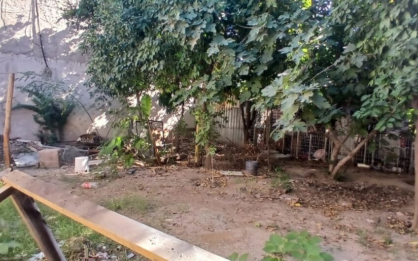 1095 Adolfo Lopez Mateos