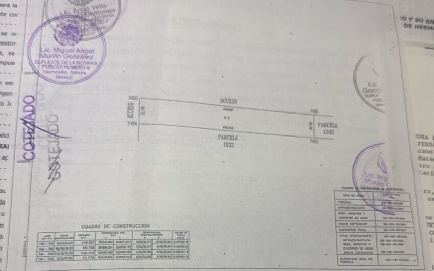 1119 San Pedro El Saucito