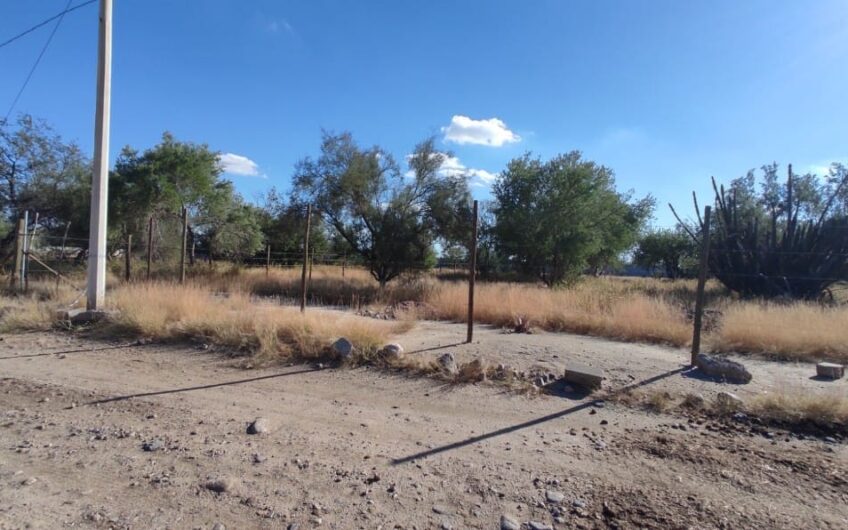 1119 San Pedro El Saucito