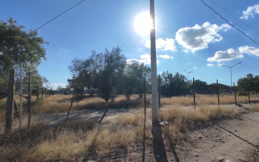 1119 San Pedro El Saucito