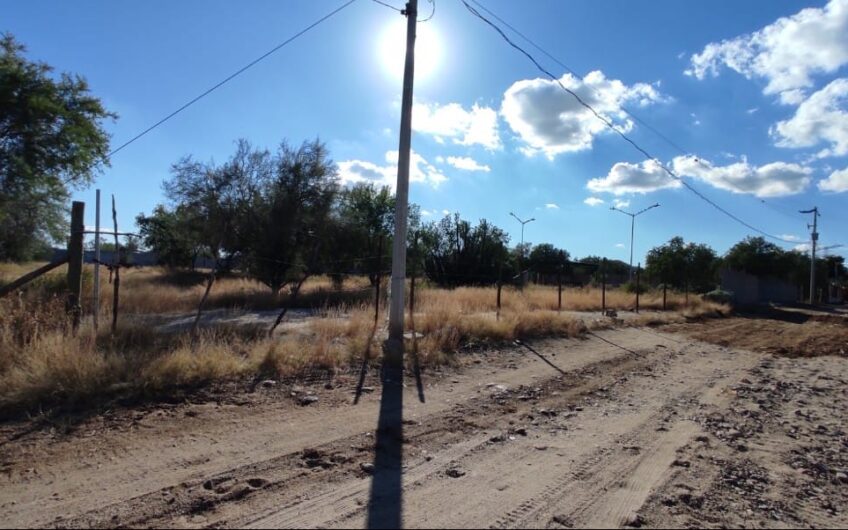 1119 San Pedro El Saucito