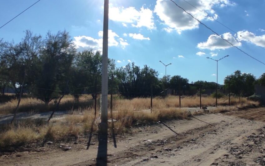 1119 San Pedro El Saucito