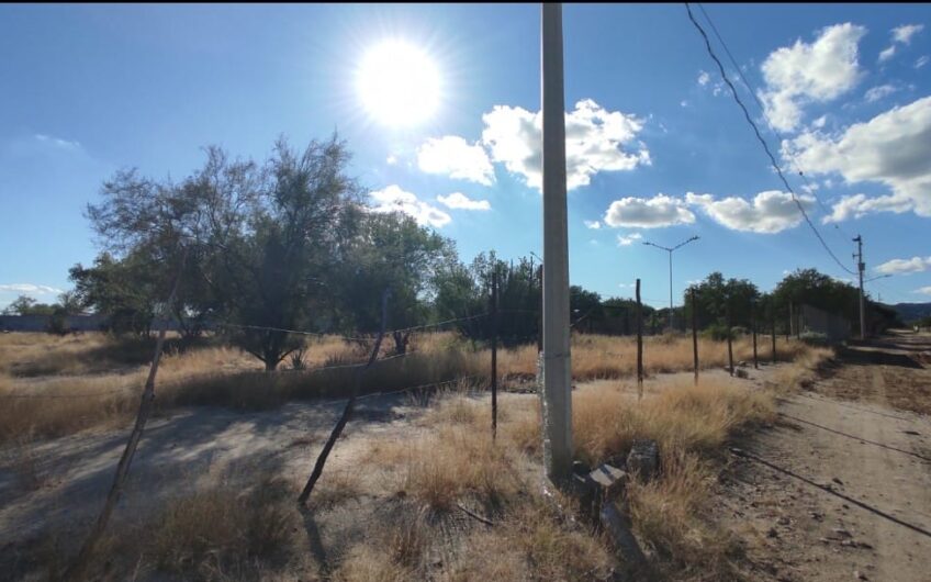 1119 San Pedro El Saucito