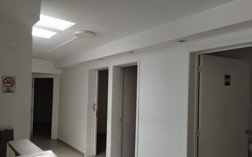 1104 Constitución Local