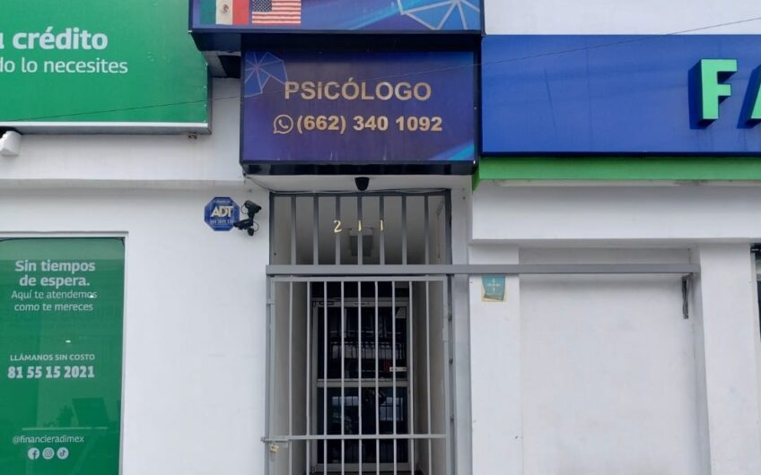 1104 Constitución Local