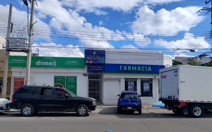 1104 Constitución Local