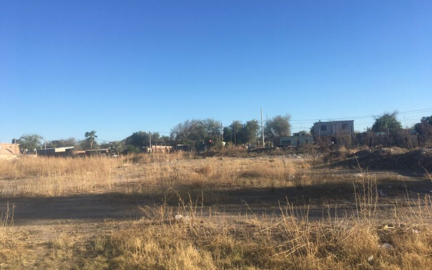 009 Palo Verde