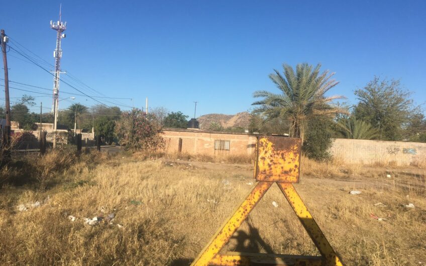 009 Palo Verde