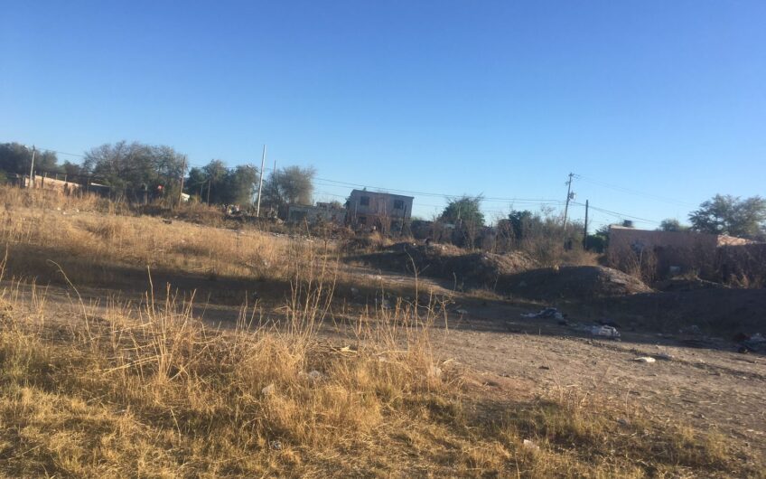 009 Palo Verde