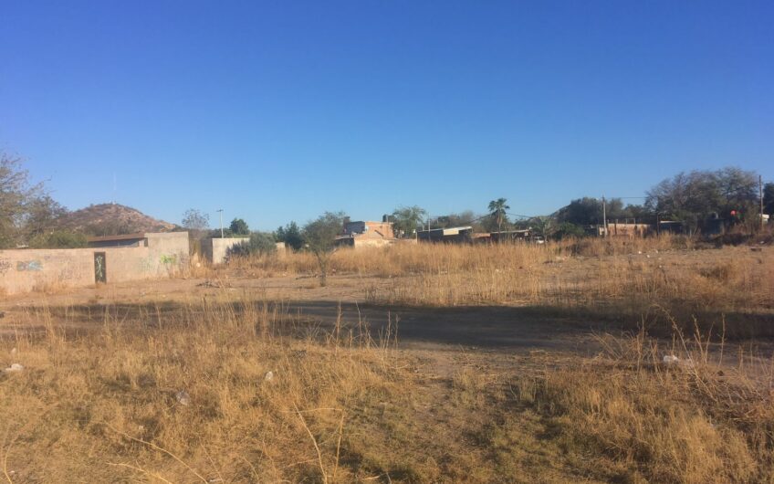 009 Palo Verde