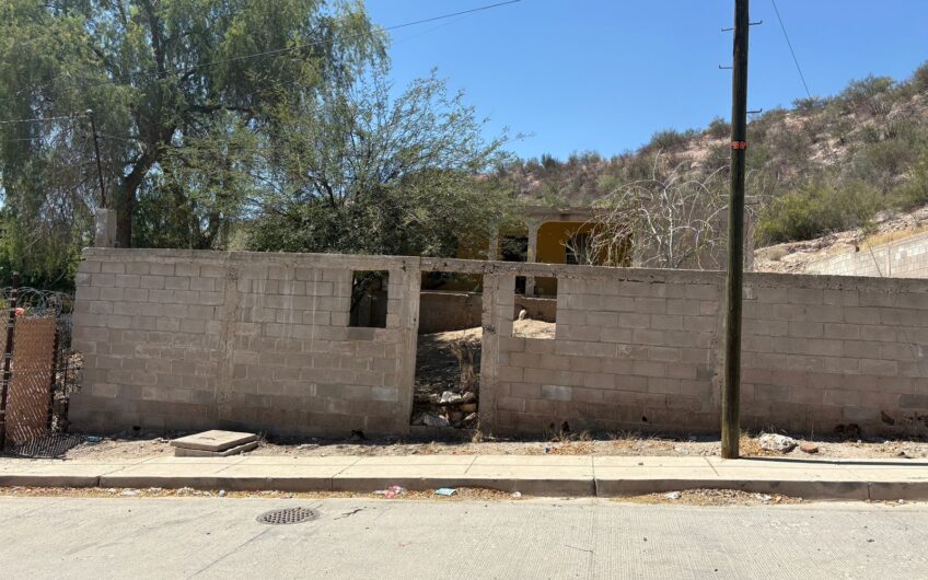 1167 Morelos