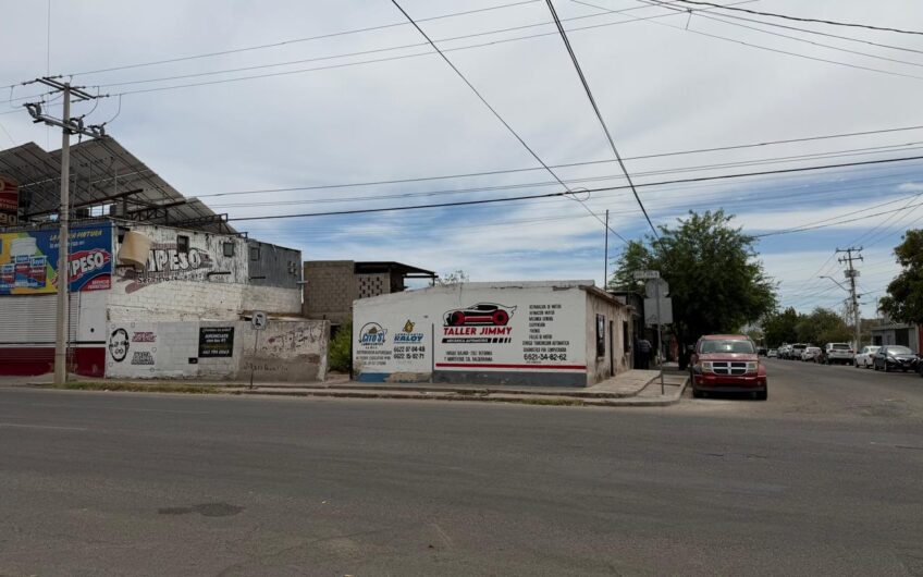 1178 Olivares