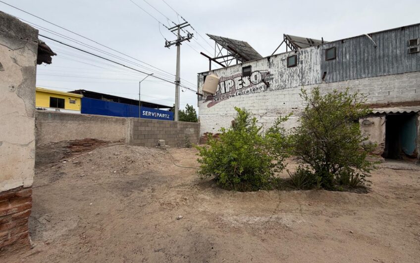 1178 Olivares