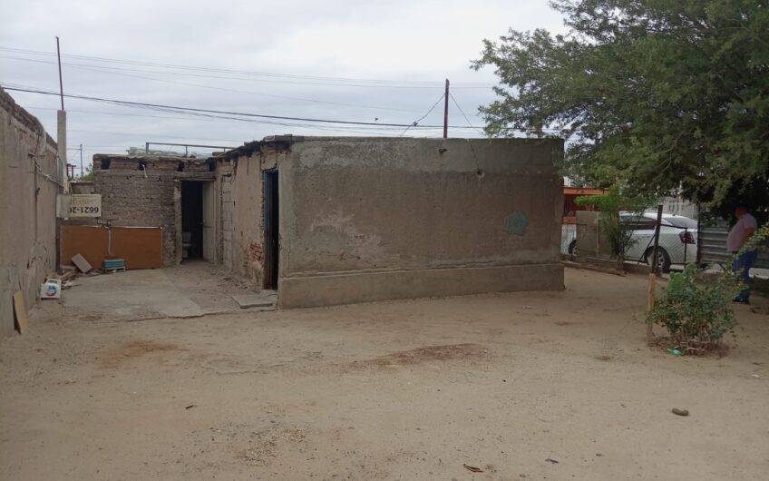 1186 Pimentel