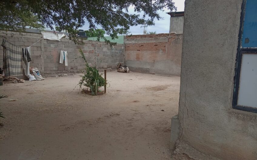 1186 Pimentel