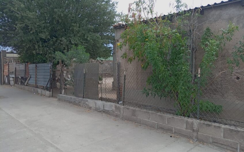 1186 Pimentel