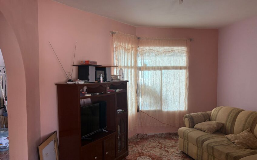 1179  4 Olivos