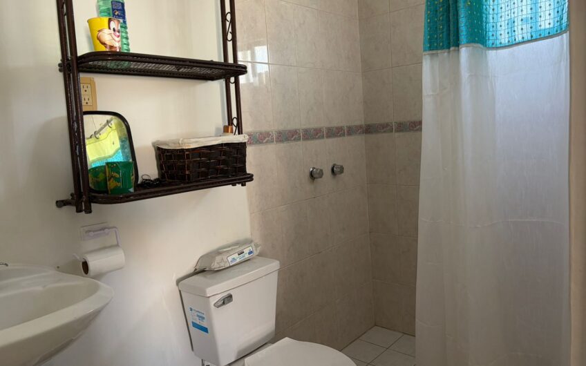 1179  4 Olivos