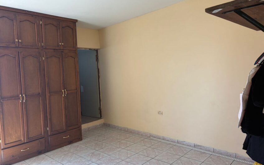 1179  4 Olivos