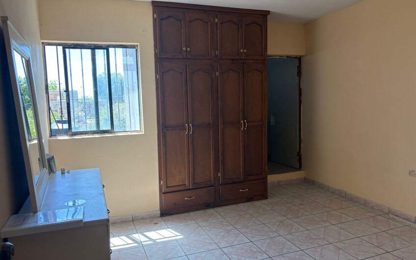 1179  4 Olivos