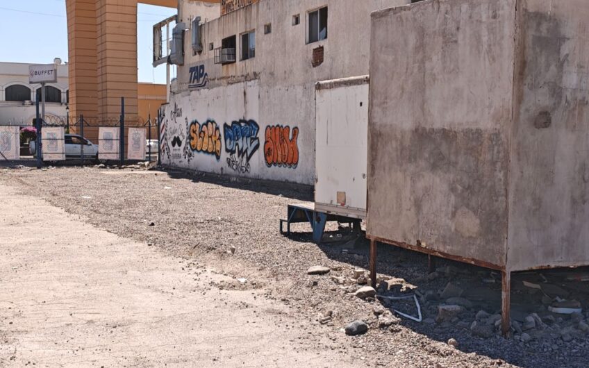 1198 Palo Verde