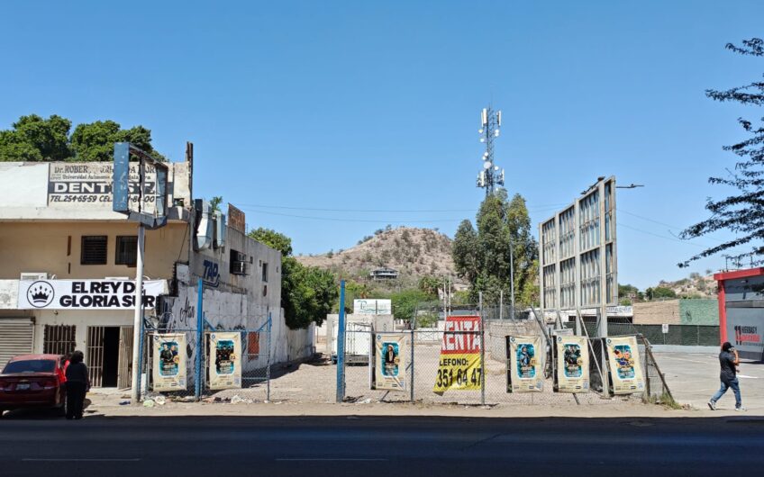 1198 Palo Verde