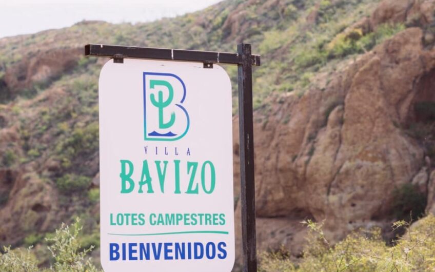 1199 Villa Baviso San Carlos