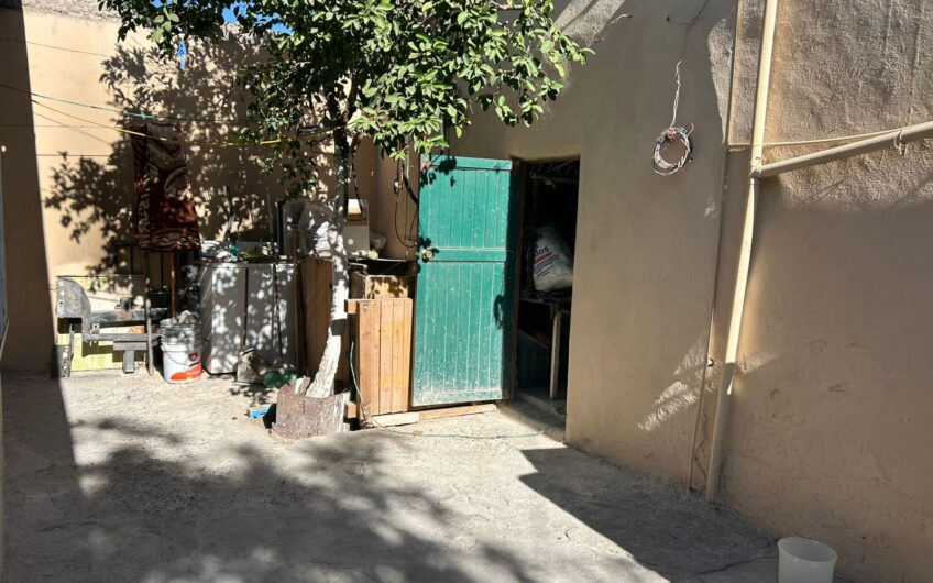 1203 Balderrama