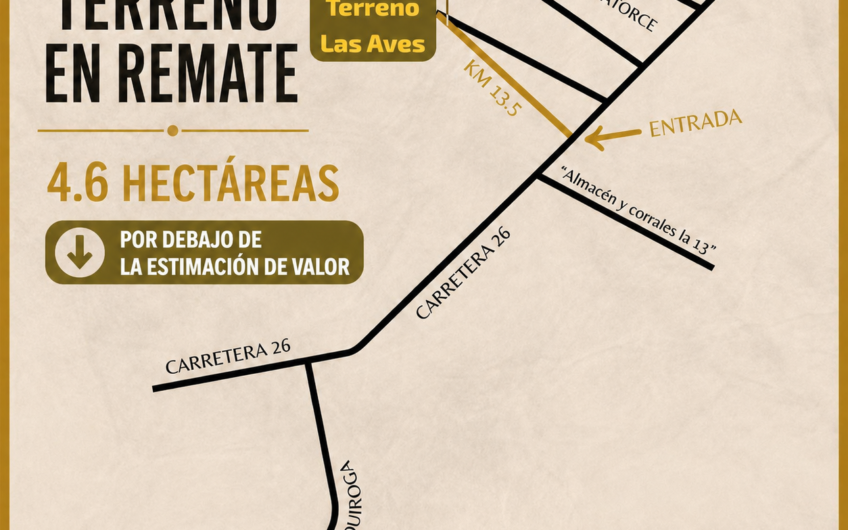 851 Las Aves