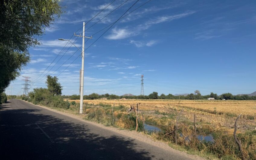 1212 Camino del Seri