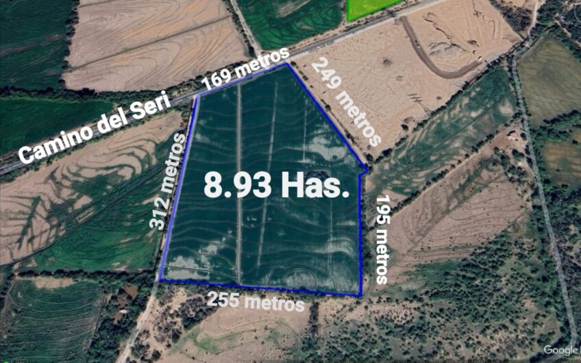 1212 Camino del Seri
