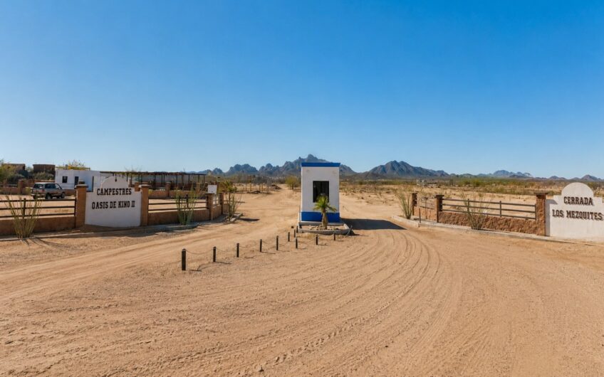 1214 Oasis de Kino II