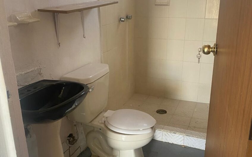 1202 Urbi villa del Cedro