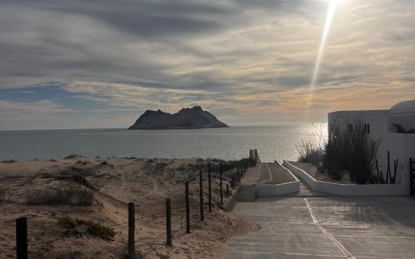 1256 Bahía de Kino