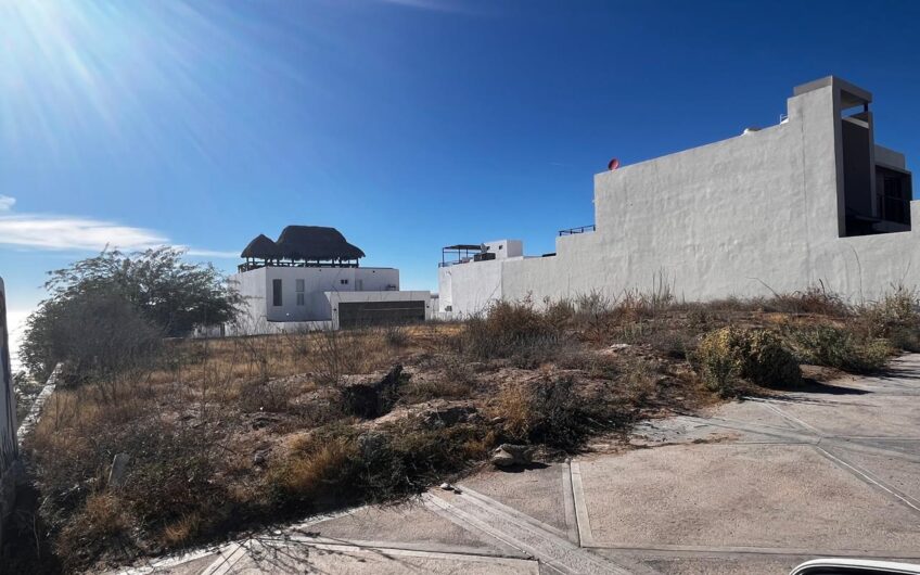 1256 Bahía de Kino